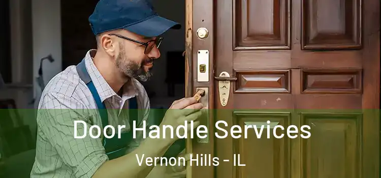Door Handle Services Vernon Hills - IL