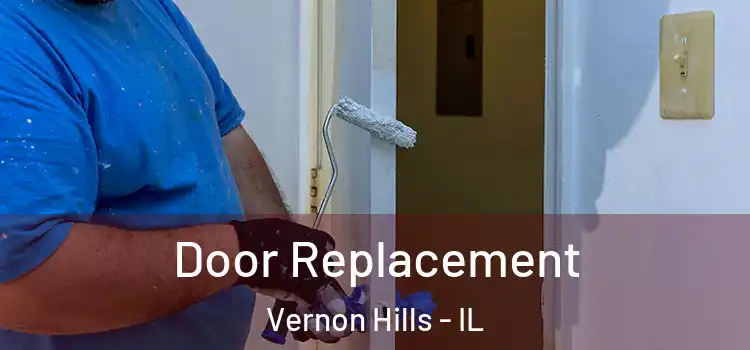 Door Replacement Vernon Hills - IL