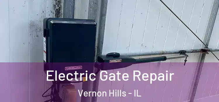 Electric Gate Repair Vernon Hills - IL