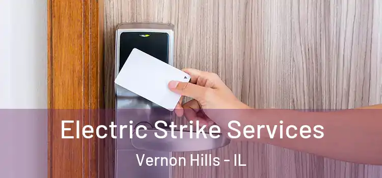 Electric Strike Services Vernon Hills - IL