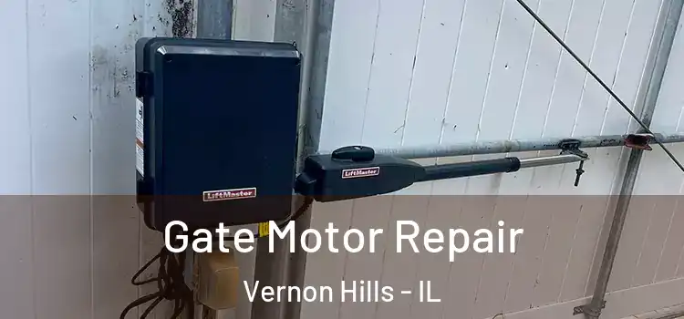Gate Motor Repair Vernon Hills - IL