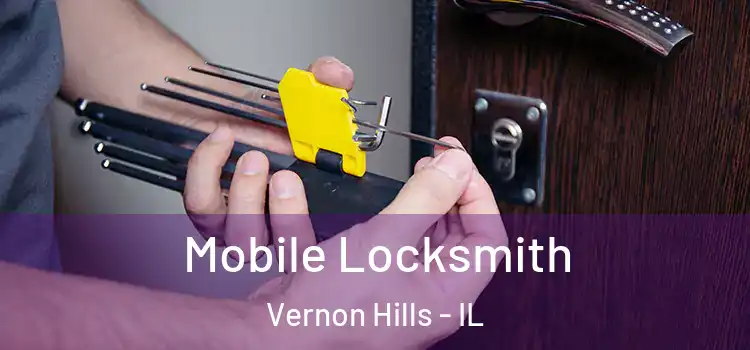 Mobile Locksmith Vernon Hills - IL