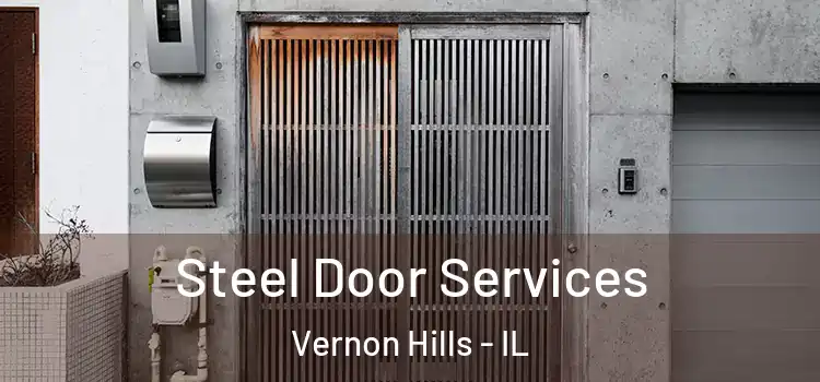 Steel Door Services Vernon Hills - IL